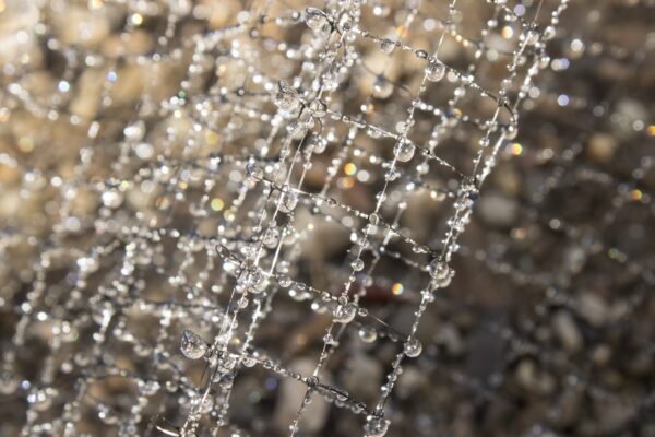 Raffle: "A Study of Water Drops with Flash #1" by Elliot H.
