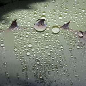 Raffle: "A Study of Water Drops with Flash #2" by Elliot H.