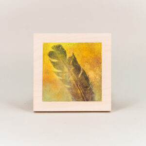 Raffle: "Wunderkammer" (feather) by Ann Rosenthal '68