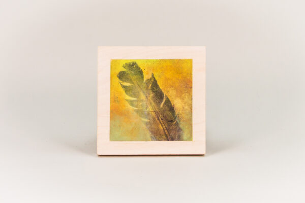 Raffle: "Wunderkammer" (feather) by Ann Rosenthal '68