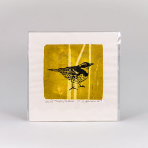 Raffle: "Varied Thrush, Grasses" by Ann Rosenthal '68