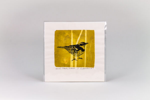 Raffle: "Varied Thrush, Grasses" by Ann Rosenthal '68