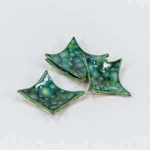 Raffle: "Mini Moss Trays Set" by Ryann H.