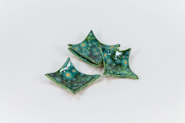 Raffle: "Mini Moss Trays Set" by Ryann H.