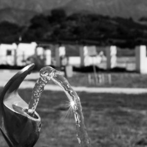 "Fountain of Light" by Elan B. '29