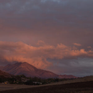 "It's Over" by David D. '26