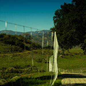 "Palisade Fence" by Naima N. '29