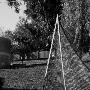 "The Geometry" by Sierra L. '29